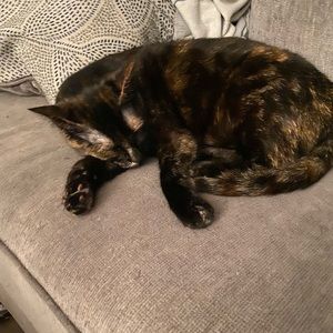 Meet your Posher, Ashlye